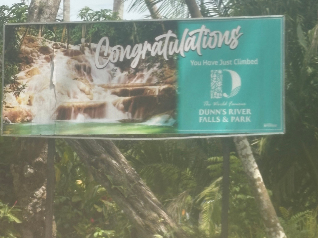 Dunn's River Falls and Park-奥乔里奥斯必去景点