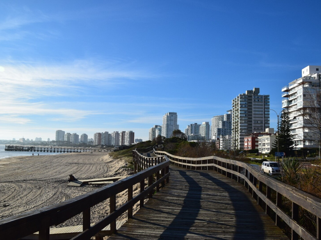 Playa Punta Ballena-Punta Ballena必去景点