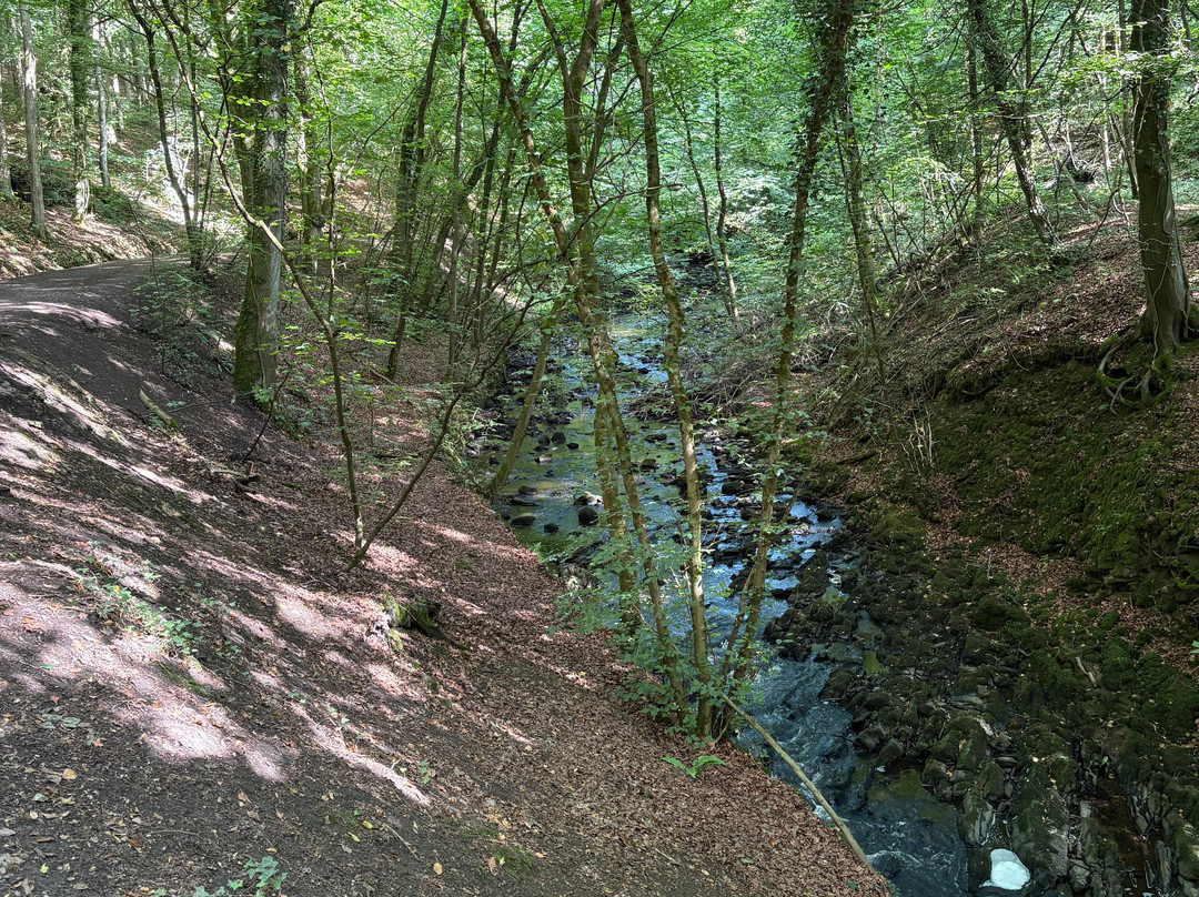 Skipton Castle Woods-斯基普顿必去景点