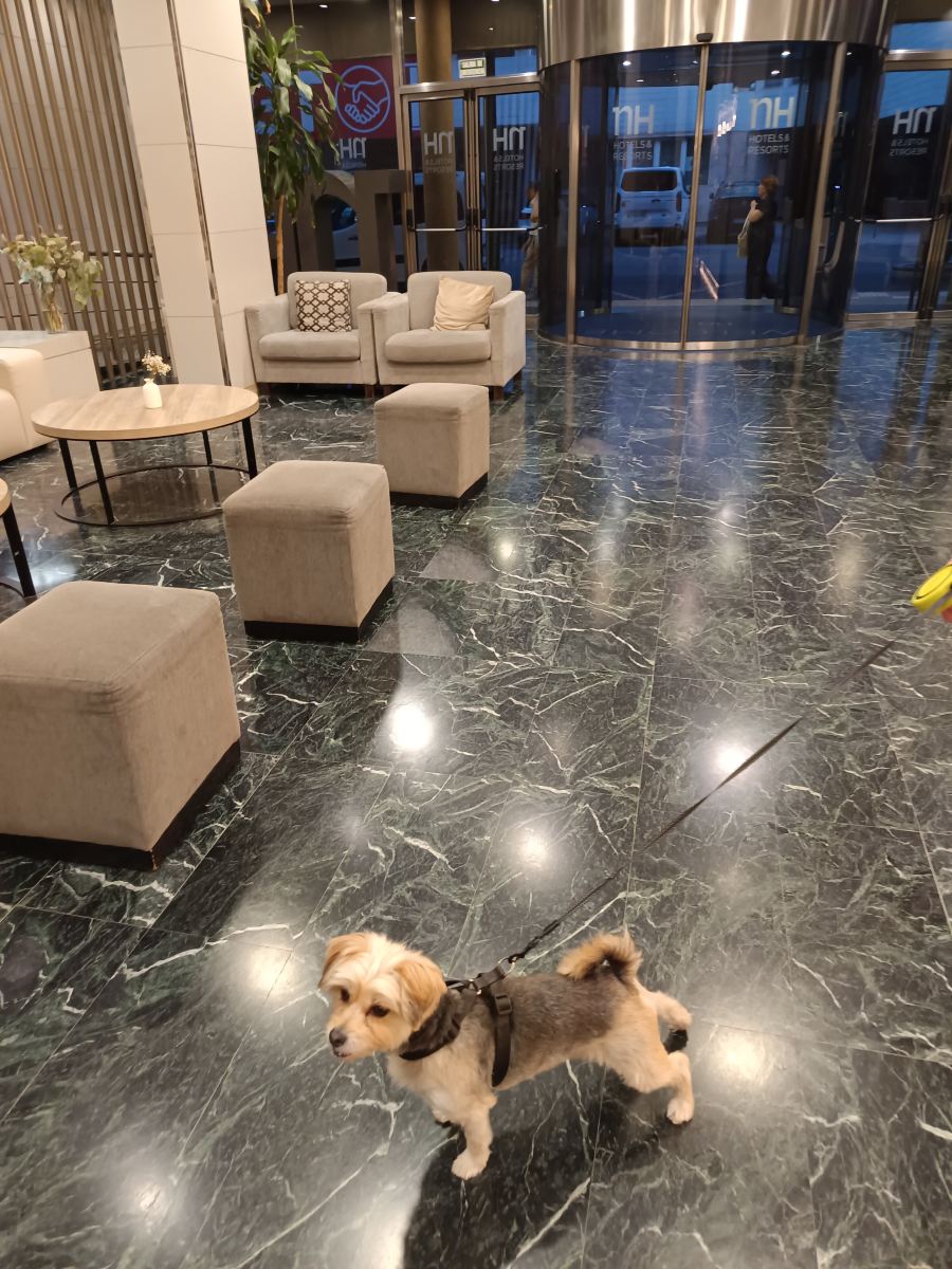 NH雷阿尔城酒店-旅行者