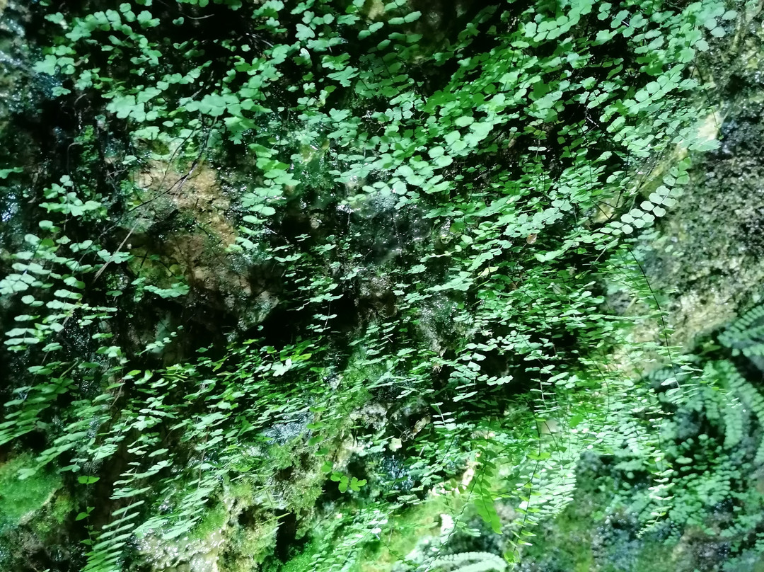 Grotte di Pastena-拉齐奥必去景点