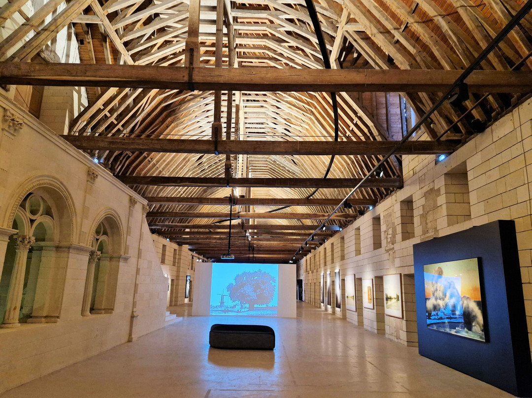 Abbaye Royale De Fontevraud-Fontevraud-l'Abbaye必去景点