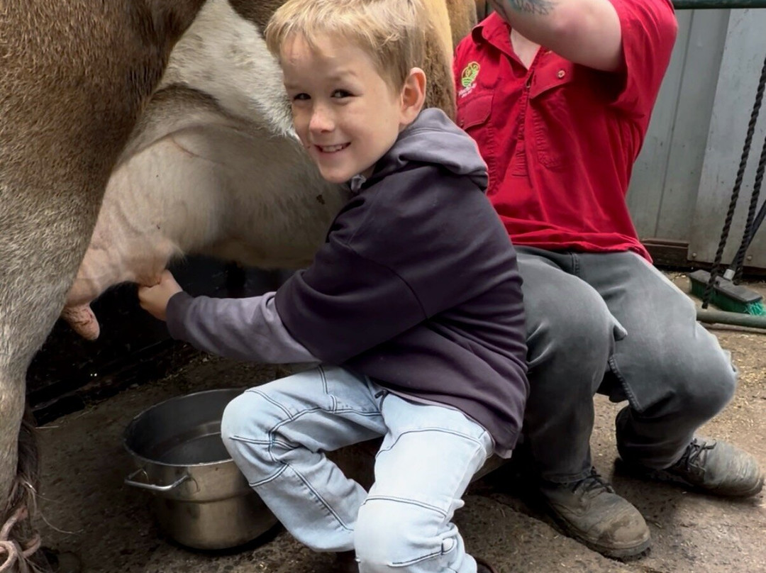 Animal Land Children's Farm-Diggers Rest必去景点
