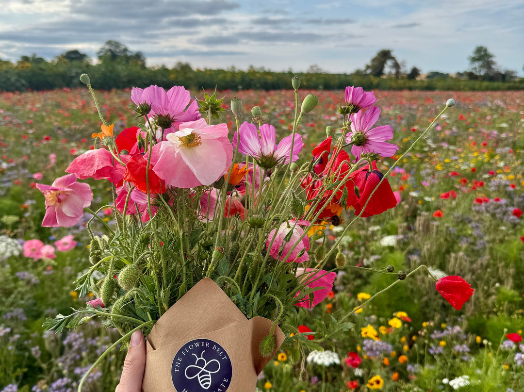 The Flower Belt - Harrogate-哈罗盖特必去景点
