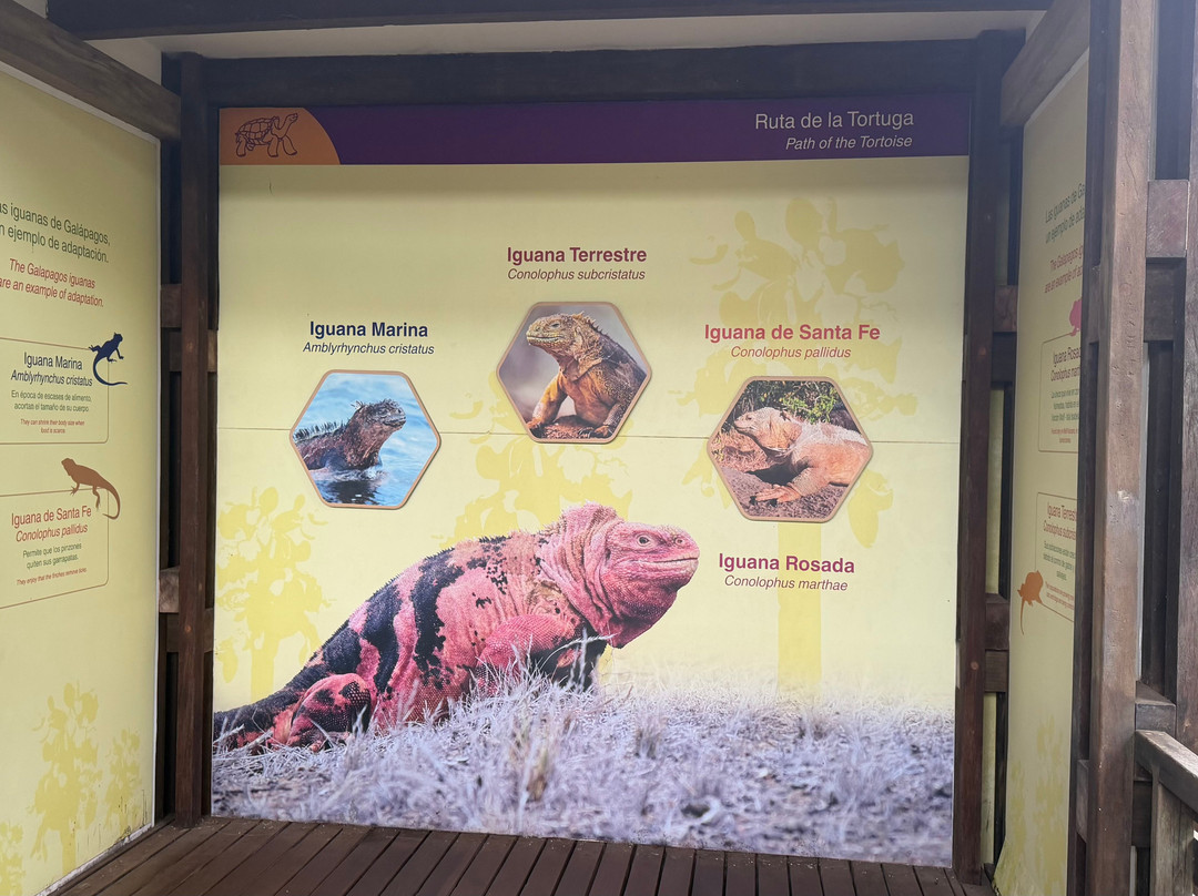 Charles Darwin Research Station-阿约拉港必去景点