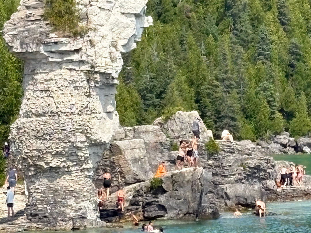 Flowerpot Island Lighthouse-托伯莫里必去景点