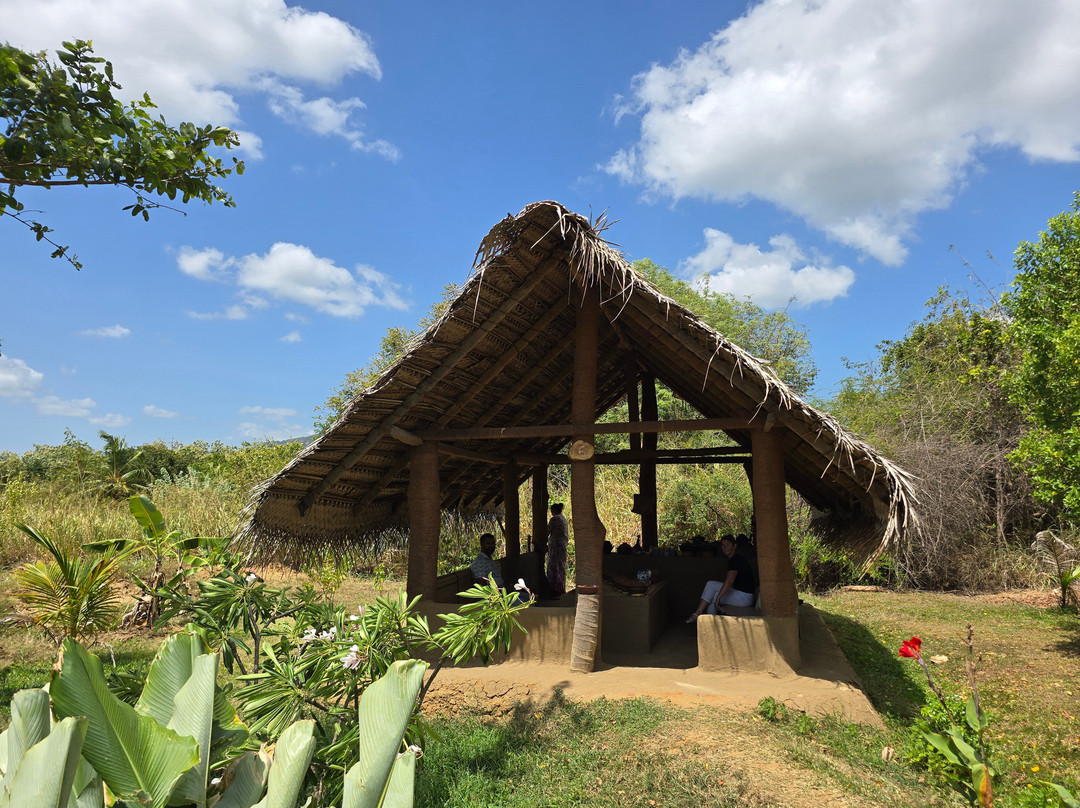 The Gilded Isle Lanka Tours