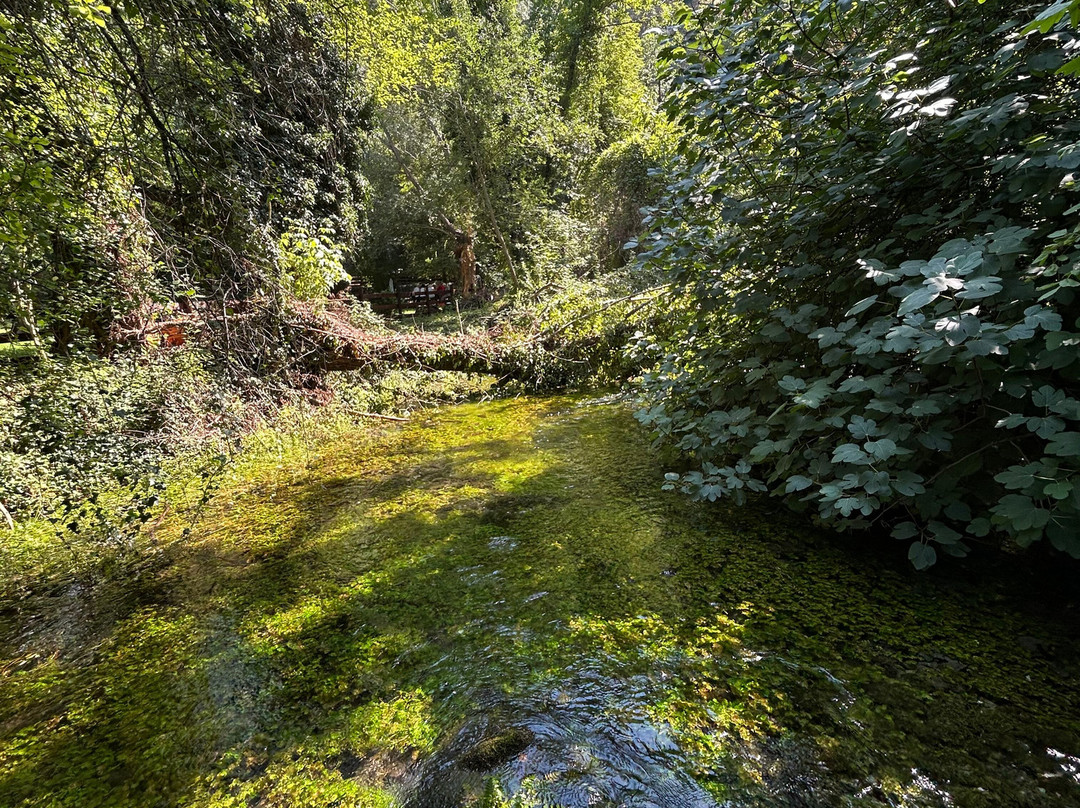 Riserva Naturale Gole del Sagittario-Anversa degli Abruzzi必去景点