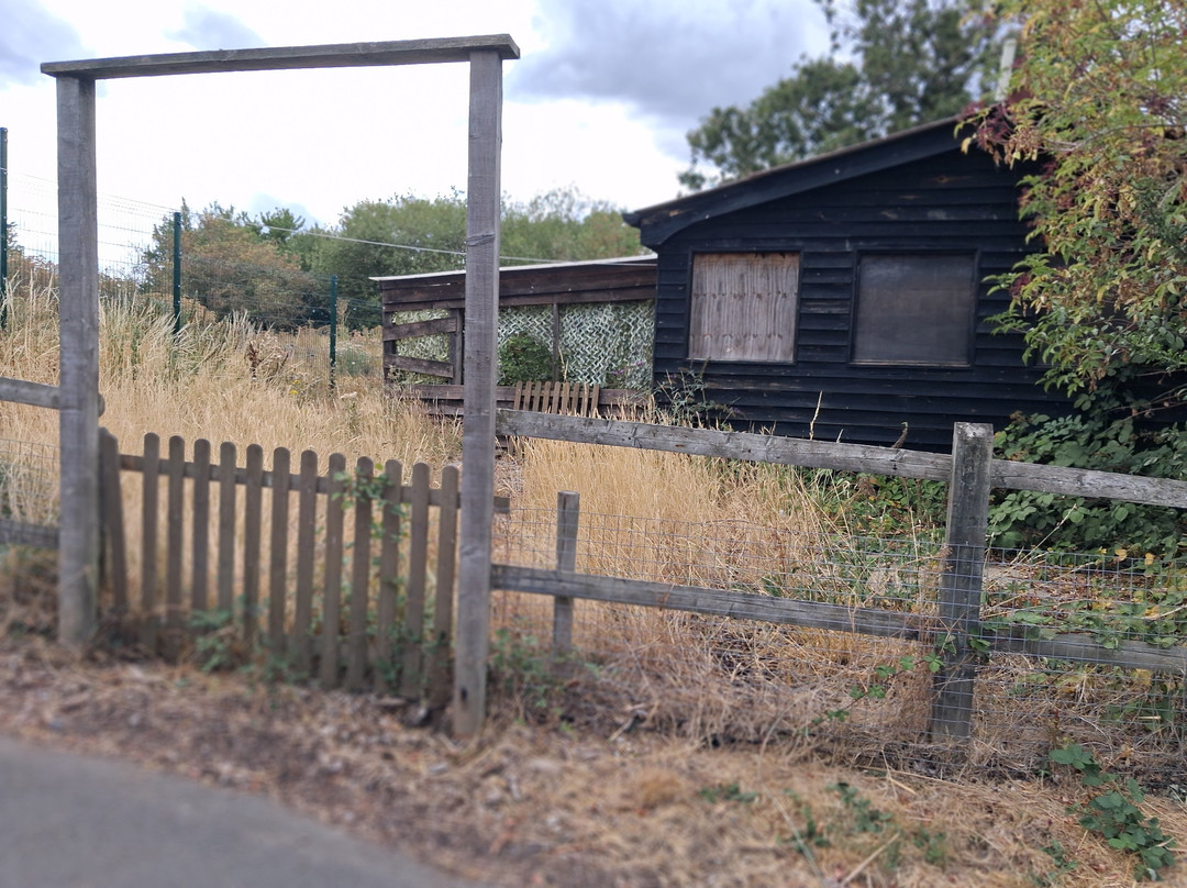 Lee Valley Animal Adventure Park-沃尔萨姆阿比必去景点