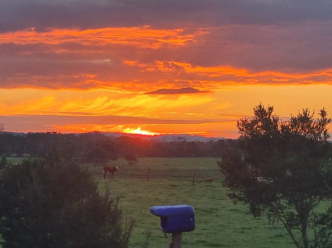 Glamping at Frog Hollow Farmstay