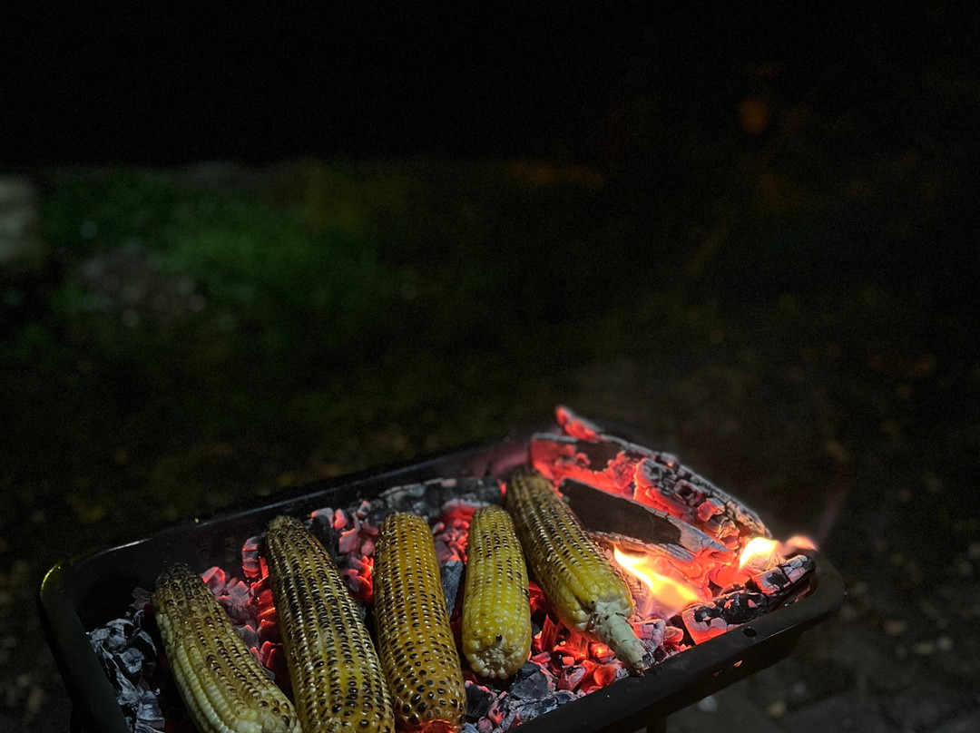 Derebeyi Rafting-Ardesen必去景点