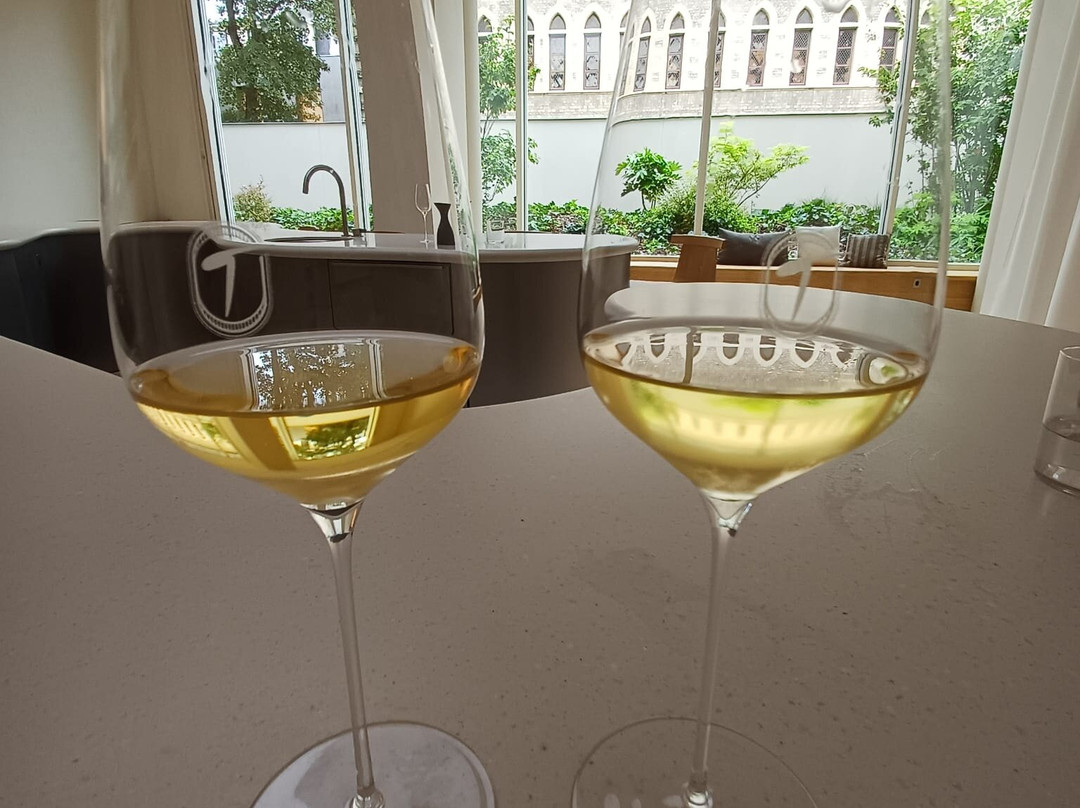 Champagne Thiénot rondleiding door de wijnkelder-Bezannes必去景点