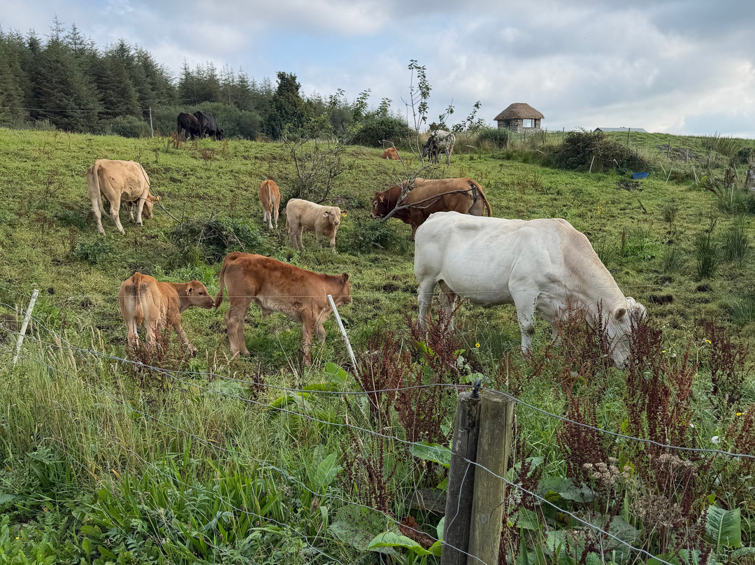 Ireland West Farm Stay-Charlestown必去景点