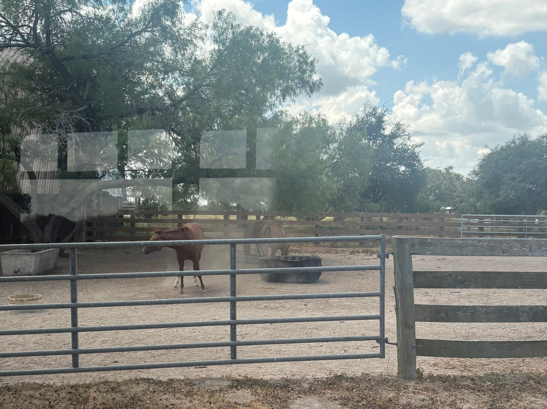 King Ranch Visitor Center-Kingsville必去景点