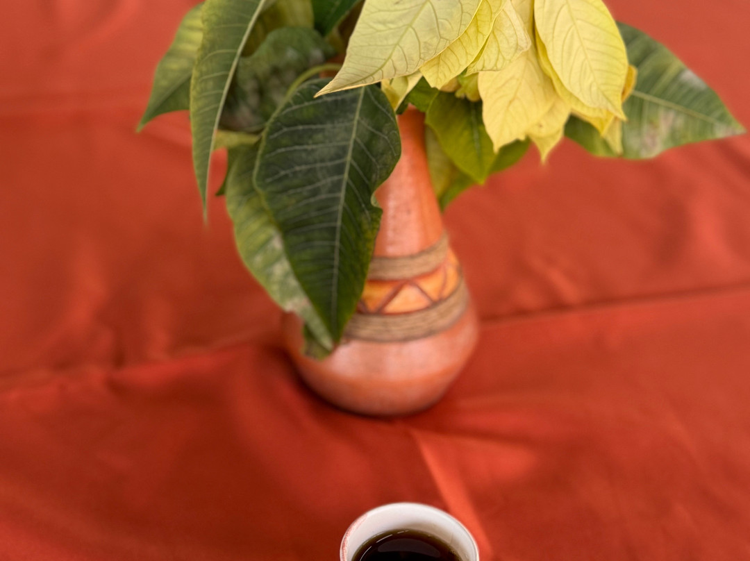 Minelis Coffee Experience-Sobradinho必去景点