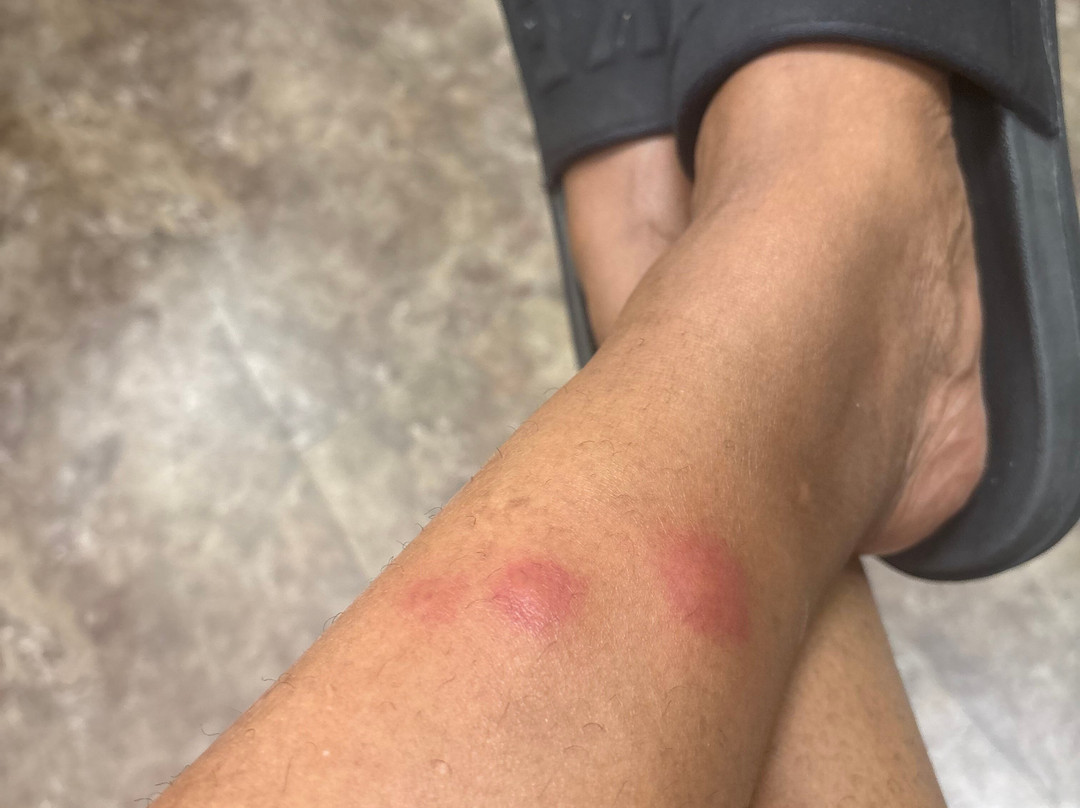 智选假日套房酒店夏洛特主图