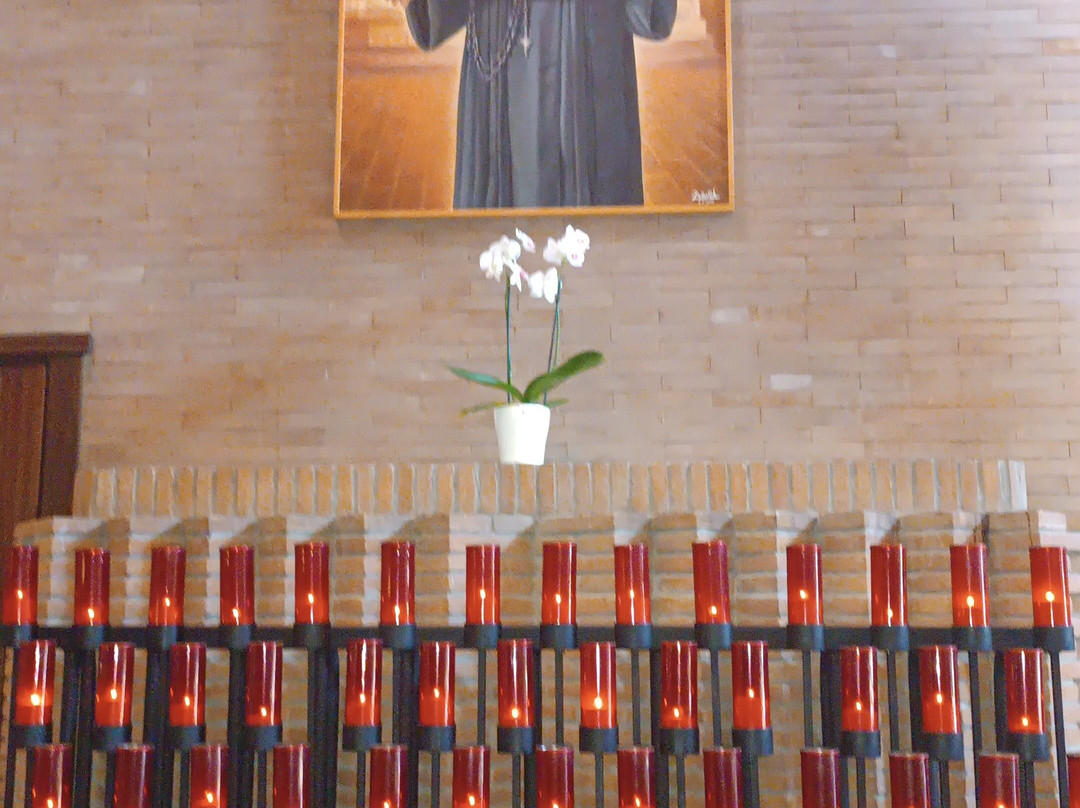 Santuario dell'Amore Misericordioso-Collevalenza必去景点