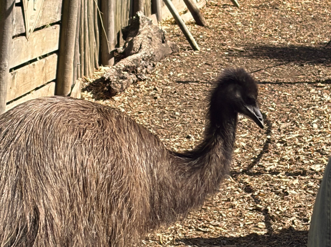 Wild Zoological Park-Bobbington必去景点