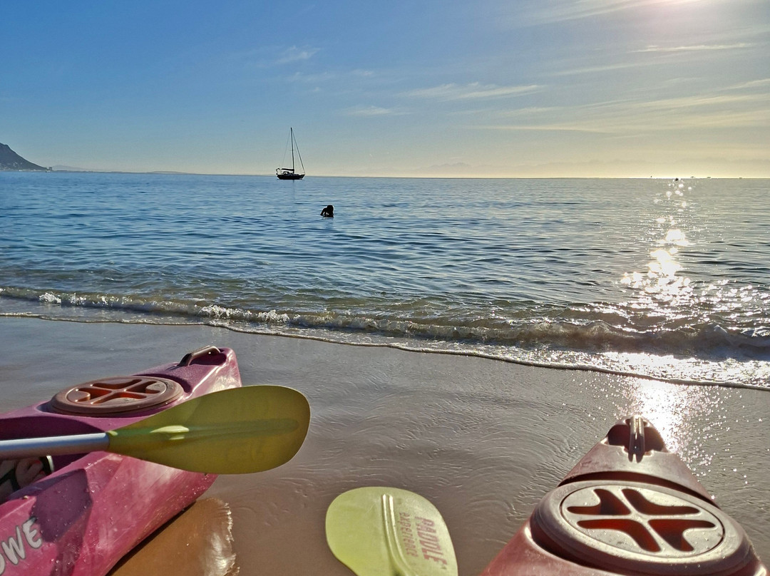 Paddle Experience: Kayak in Cape Town-西门镇必去景点