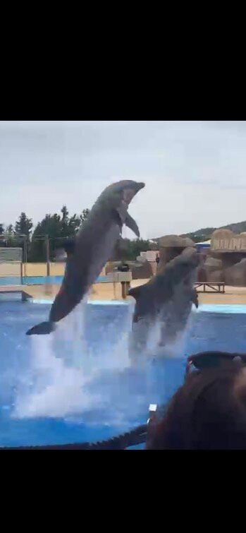 Marineland Catalunya-Palafolls必去景点
