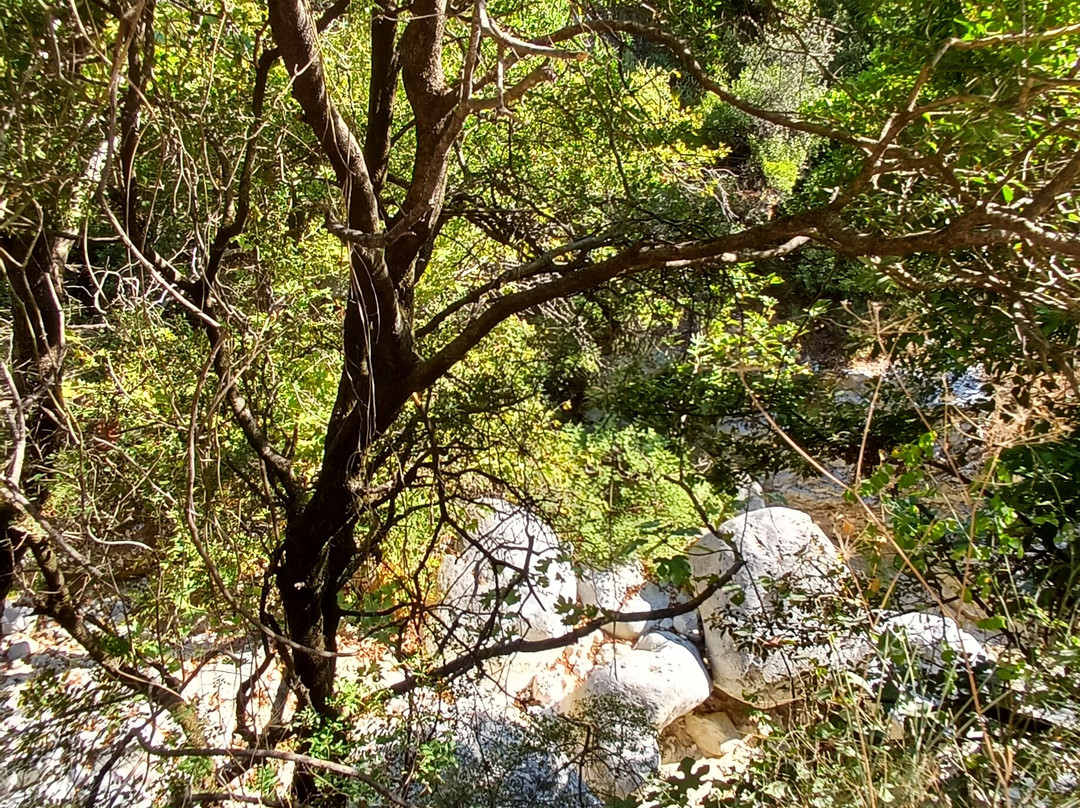 Nydri Waterfalls-Nidri必去景点