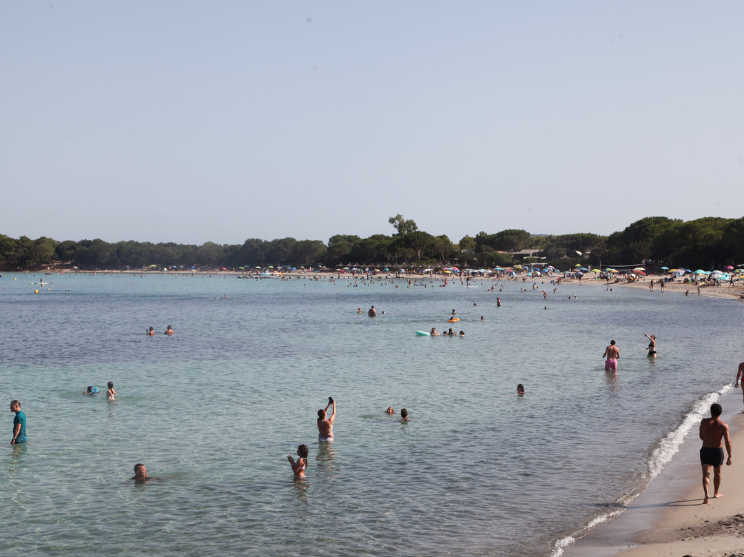 Plage de Rondinara-博尼法乔必去景点