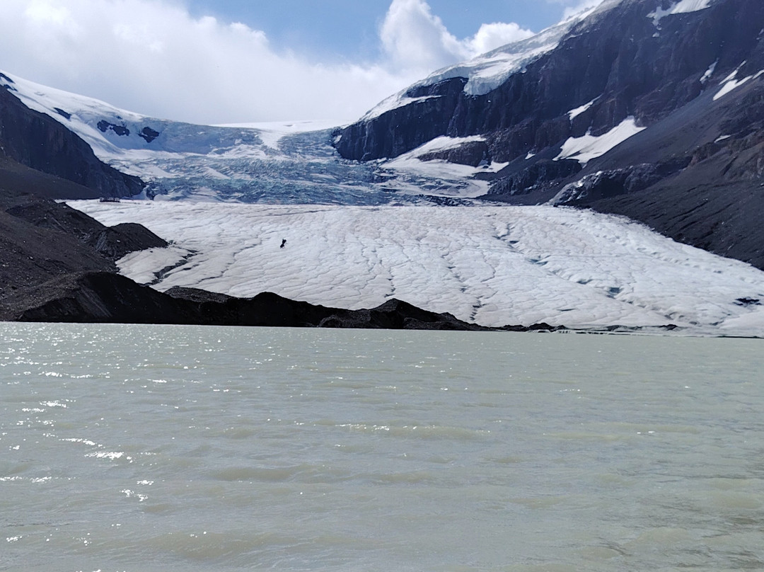 Athabasca Glacier-贾斯珀国家公园必去景点