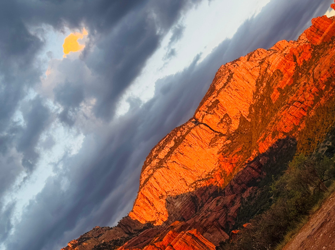 Arizona Safari Jeep Tours-塞多纳必去景点