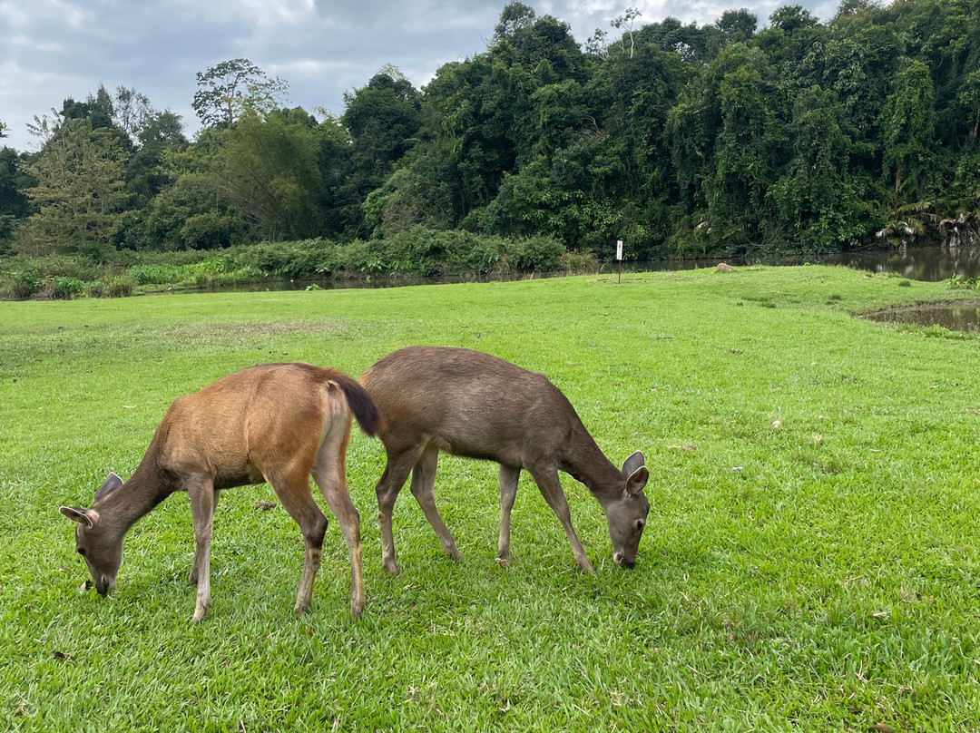 Khao Yai National Park-北丕必去景点