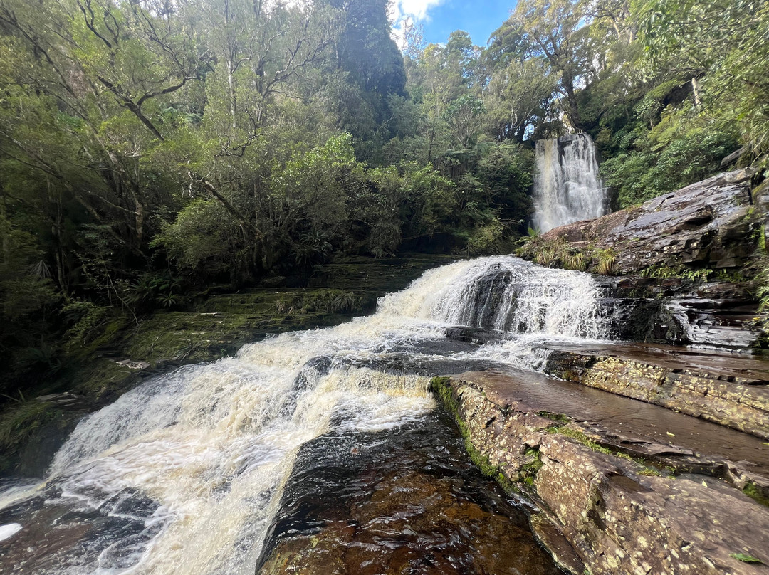 Catlins Tours-奥瓦卡必去景点