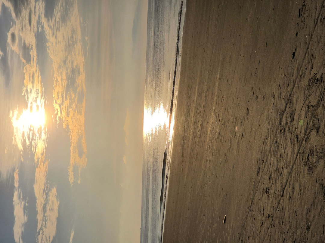 Islanders Beach Park-希尔顿头岛必去景点