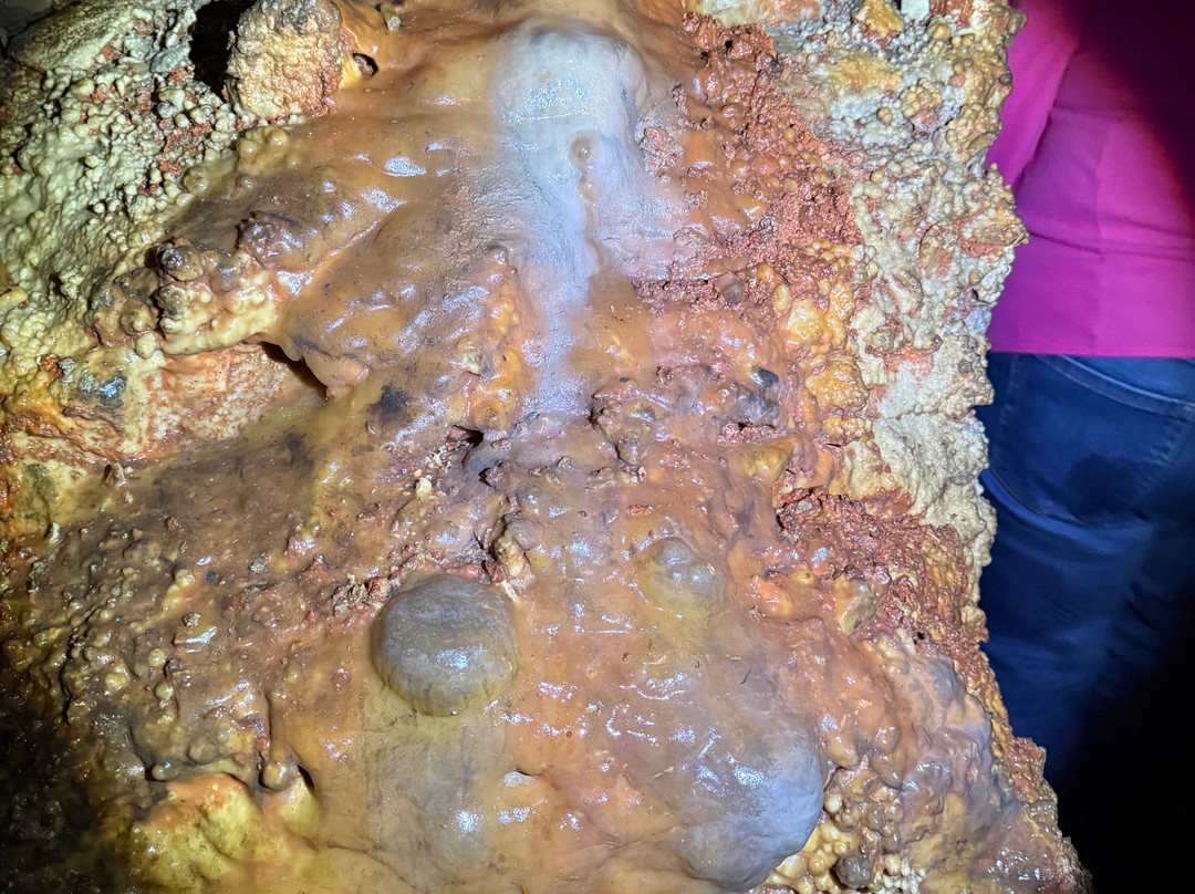 Jewel Cave National Monument-卡斯特必去景点