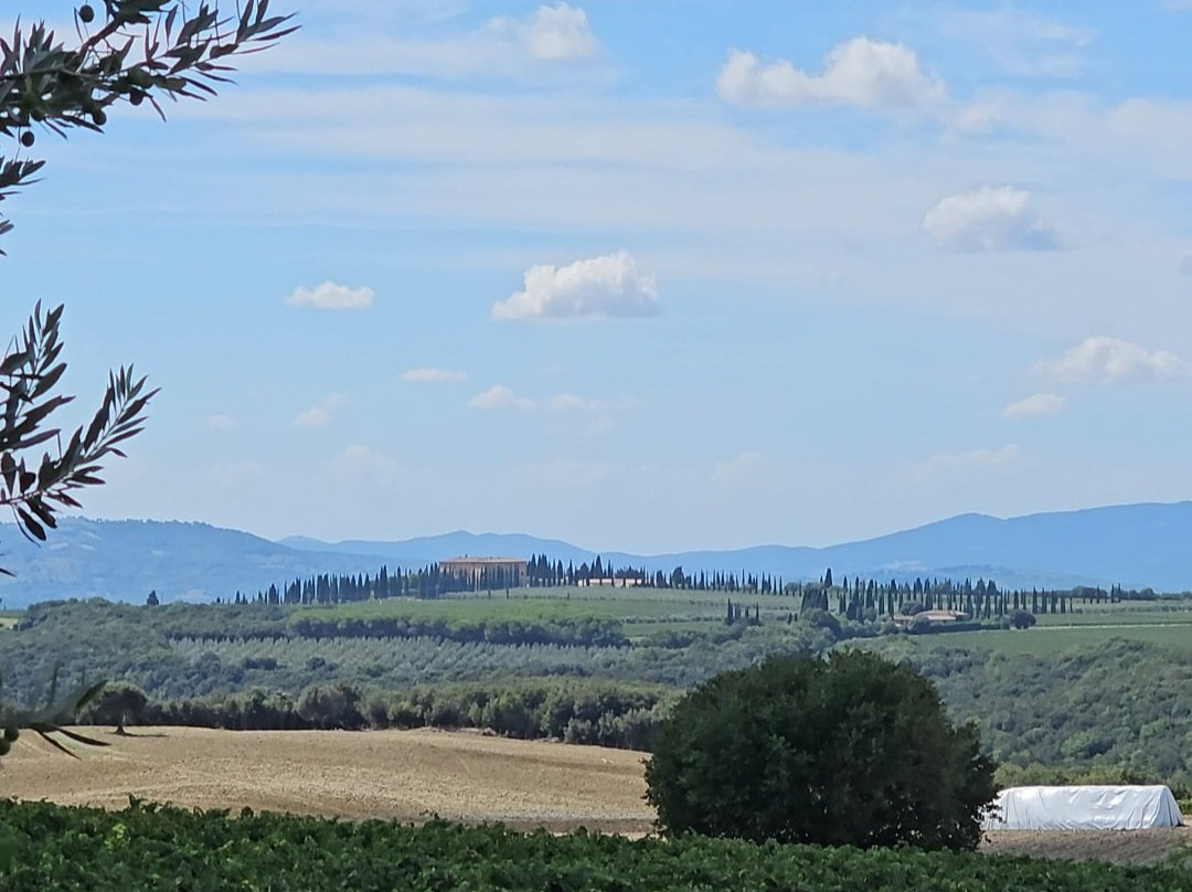 Máté Winery-蒙塔尔奇诺必去景点