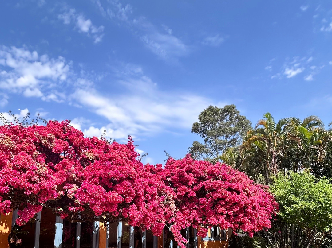 Vinícola Guaspari-Espirito Santo Do Pinhal必去景点