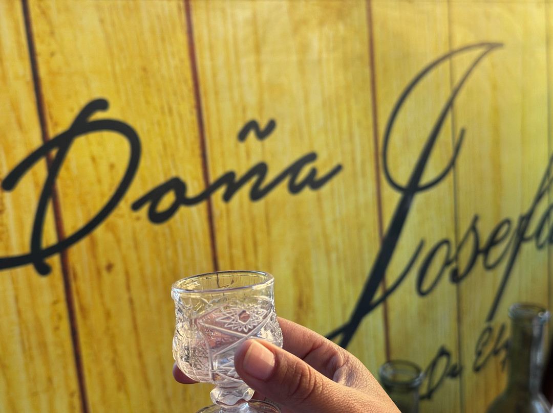 Doña Josefa de Elqui - Pisco Artesanal-Pisco Elqui必去景点