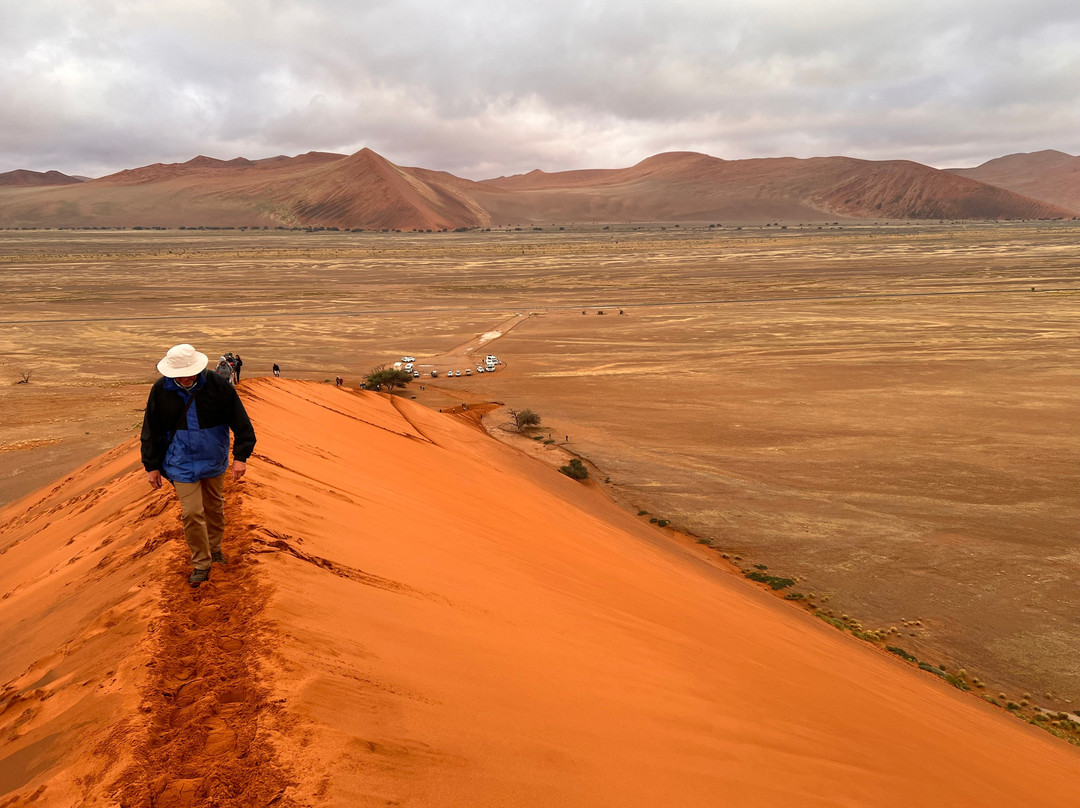 Namib Desert-苏丝斯黎必去景点