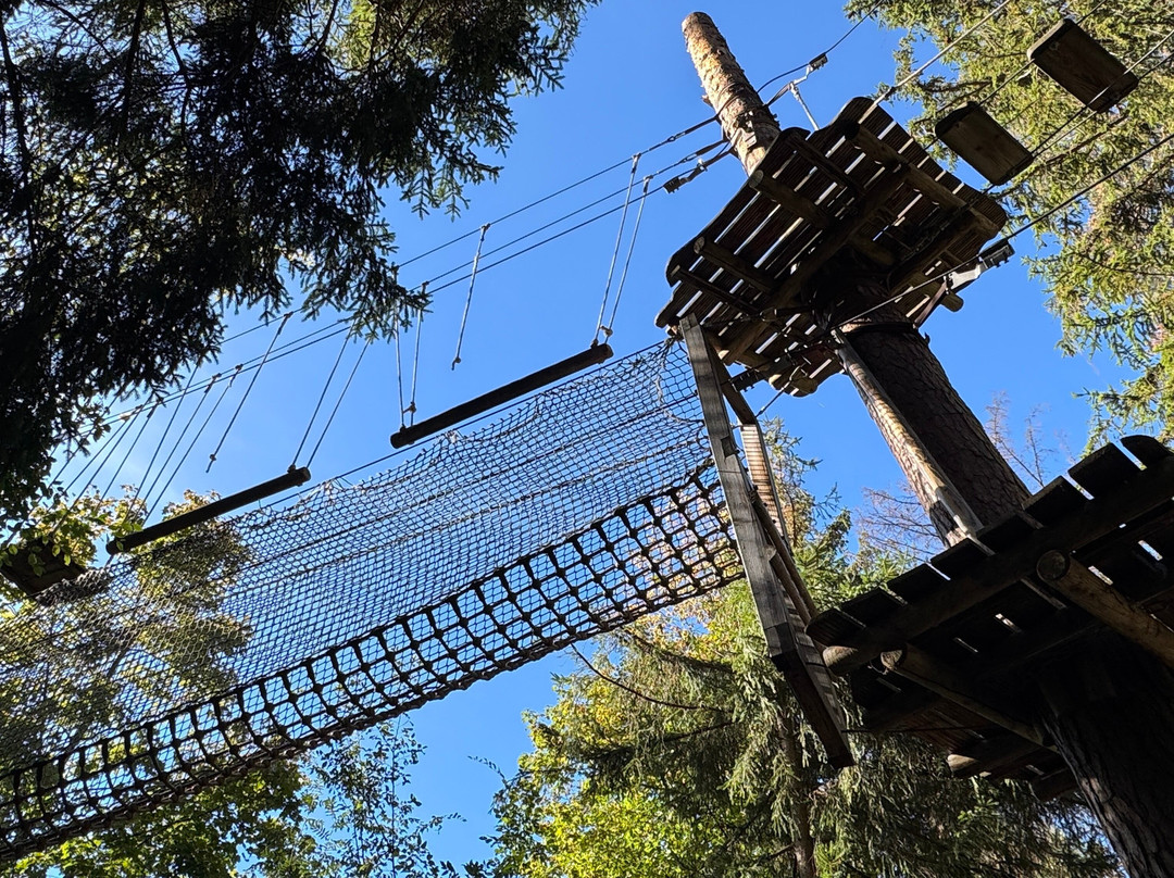 Münchner Wald Kletterwald Vaterstetten-Vaterstetten必去景点