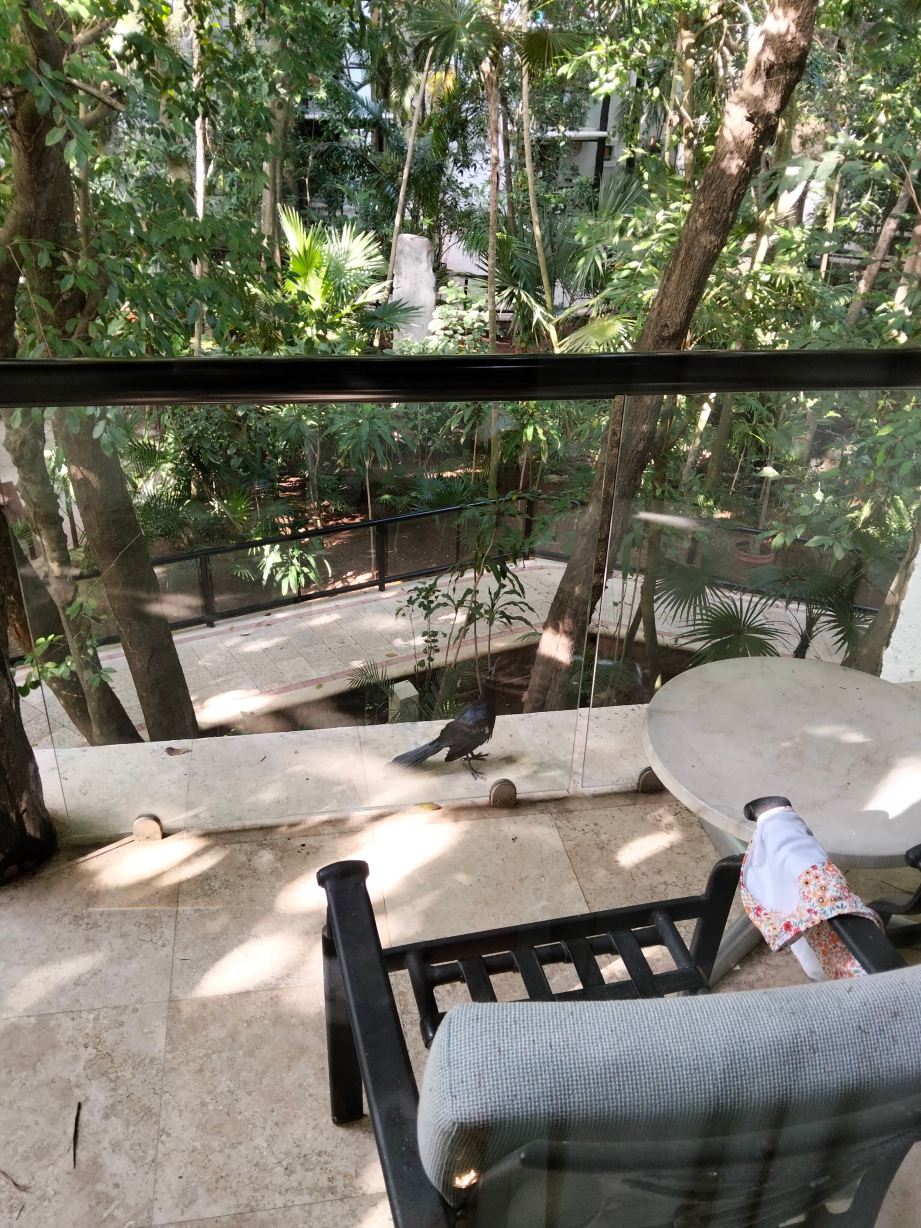 礁石普拉亚卡尔海滩度假村及水疗中心-旅行者
