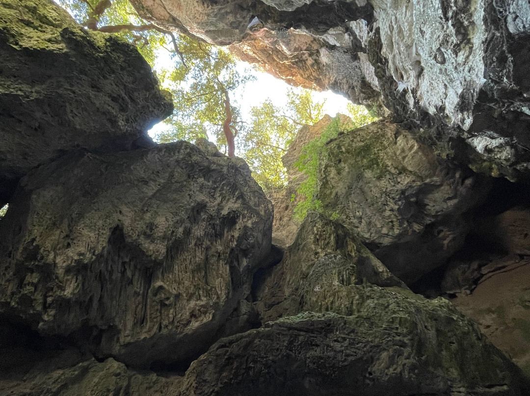 Parco Archeologico Naturalistico e Archeodromo di Belverde-Cetona必去景点