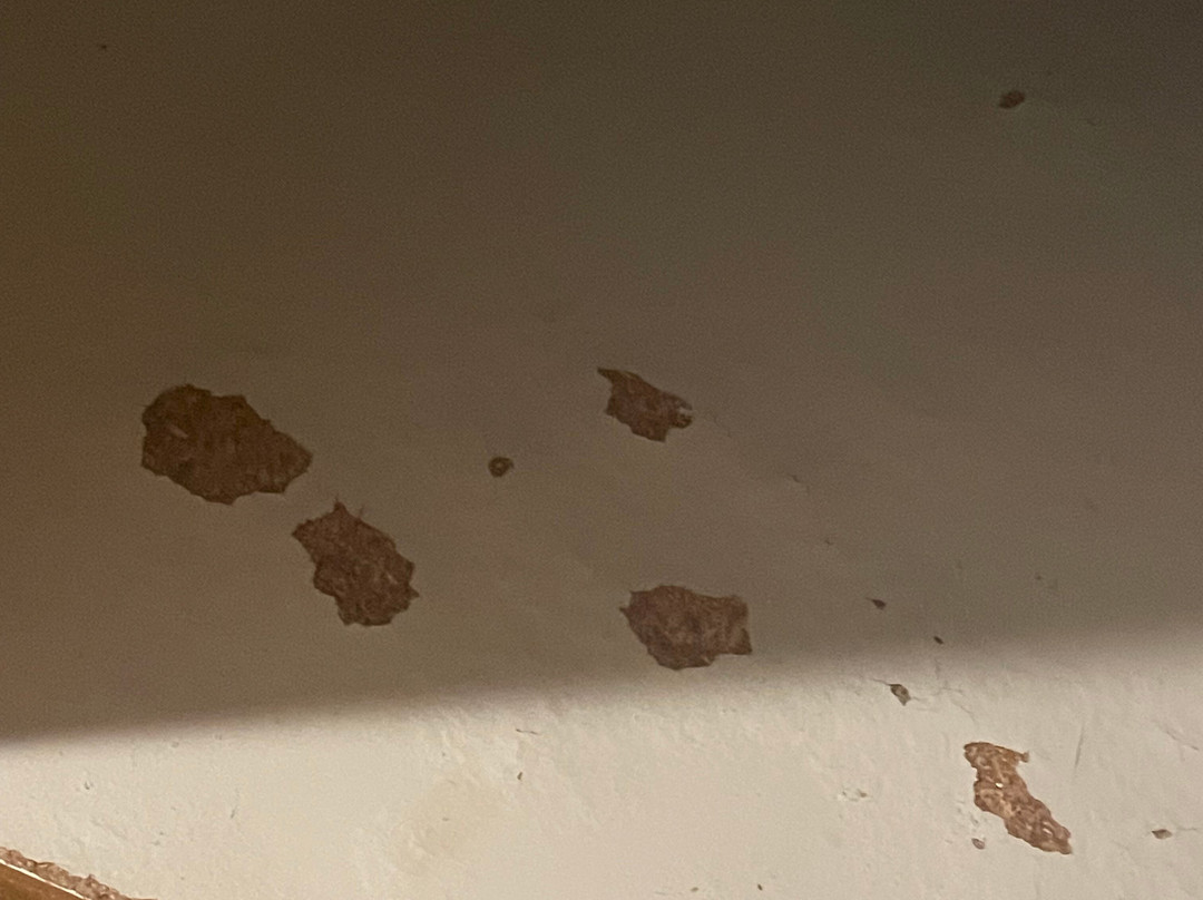 艾尔毛拉第哈马马特酒店主图