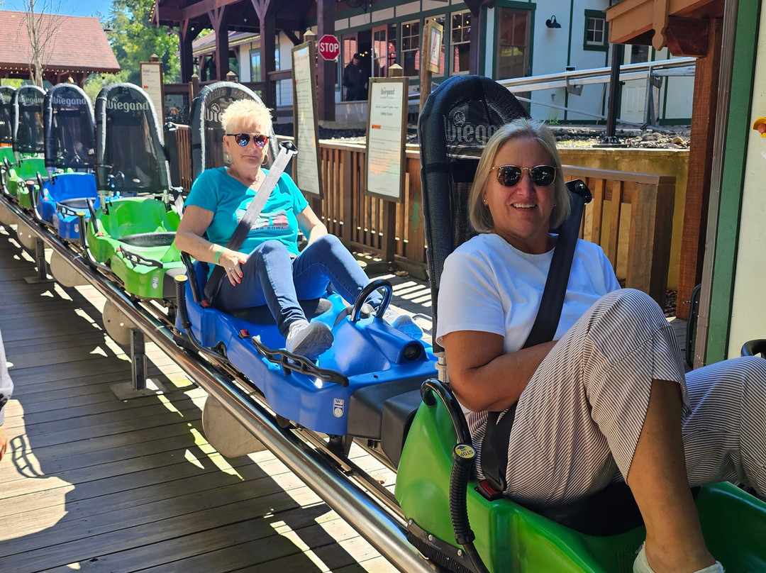 Georgia Mountain Coaster-海伦必去景点