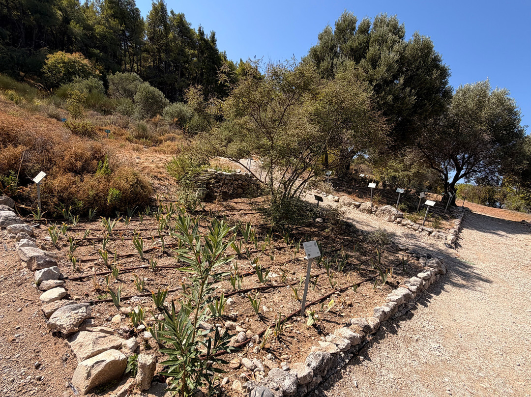International Hippocratic Foundation of Kos-Kos Town必去景点