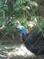 Jardin de la Ménagerie-索城必去景点