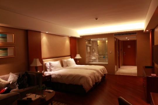 南洋国际大酒店(北海高铁站店）-客卧