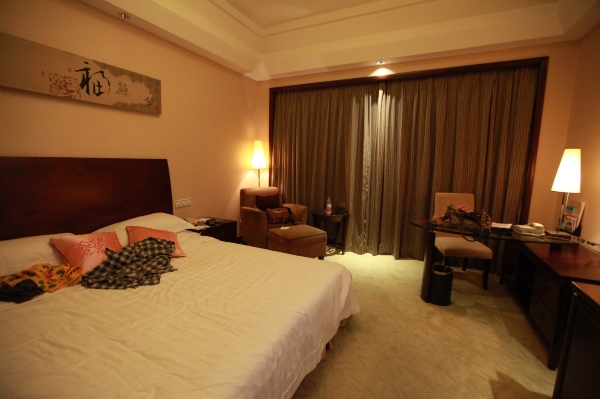 大榭国际大酒店-客卧