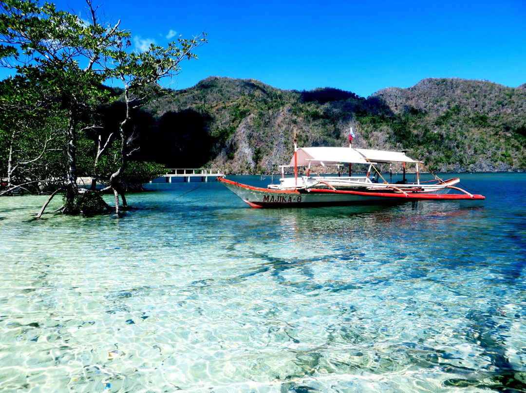 Apo Island旅游攻略图片