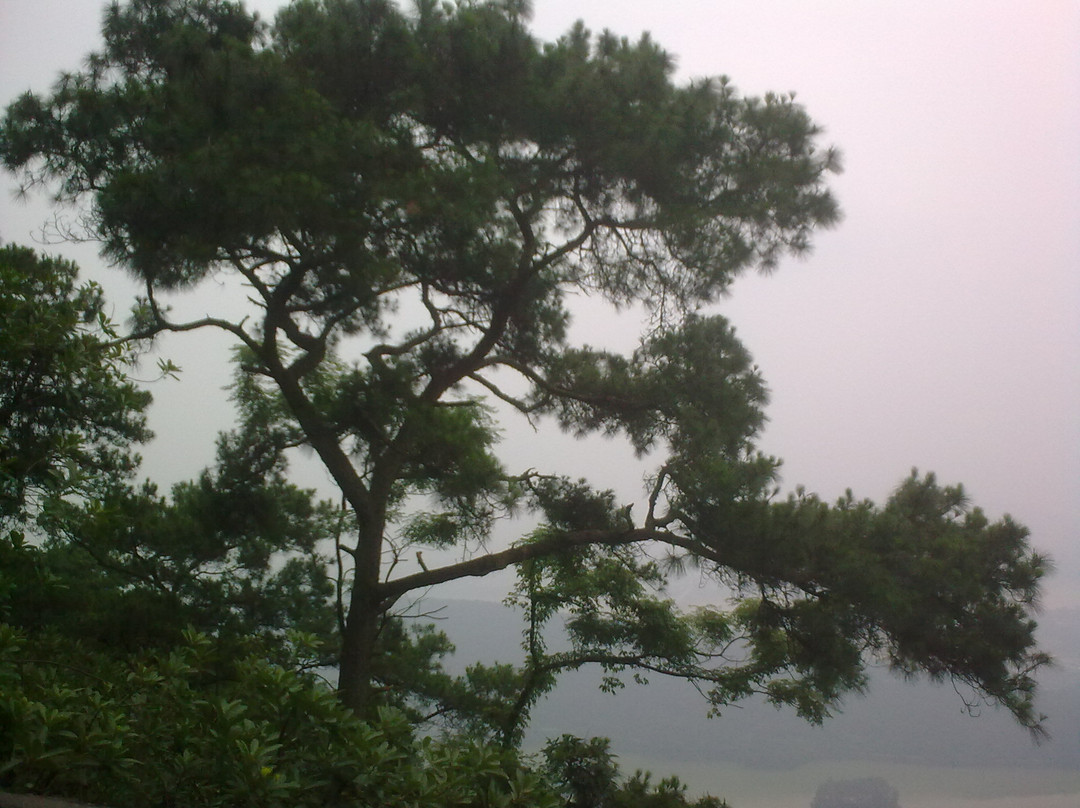 桂平西山风景名胜区景点图片