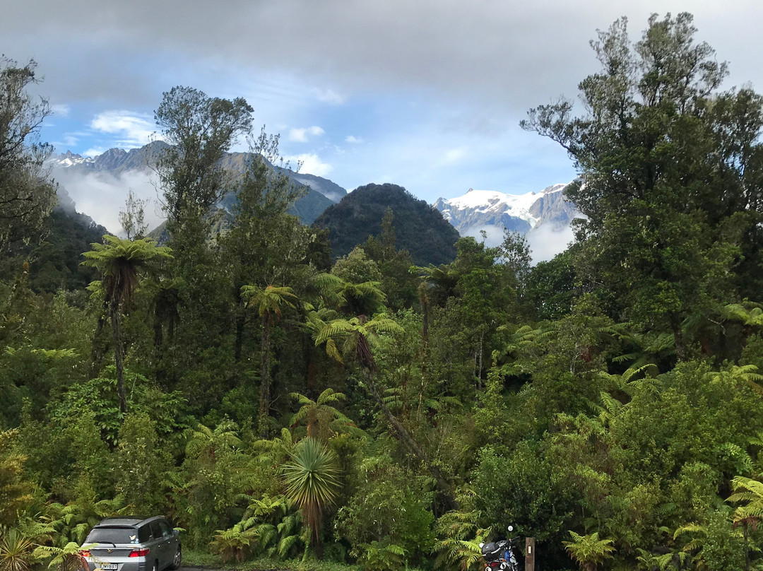 弗朗茨约瑟夫（冰川）旅游攻略图片