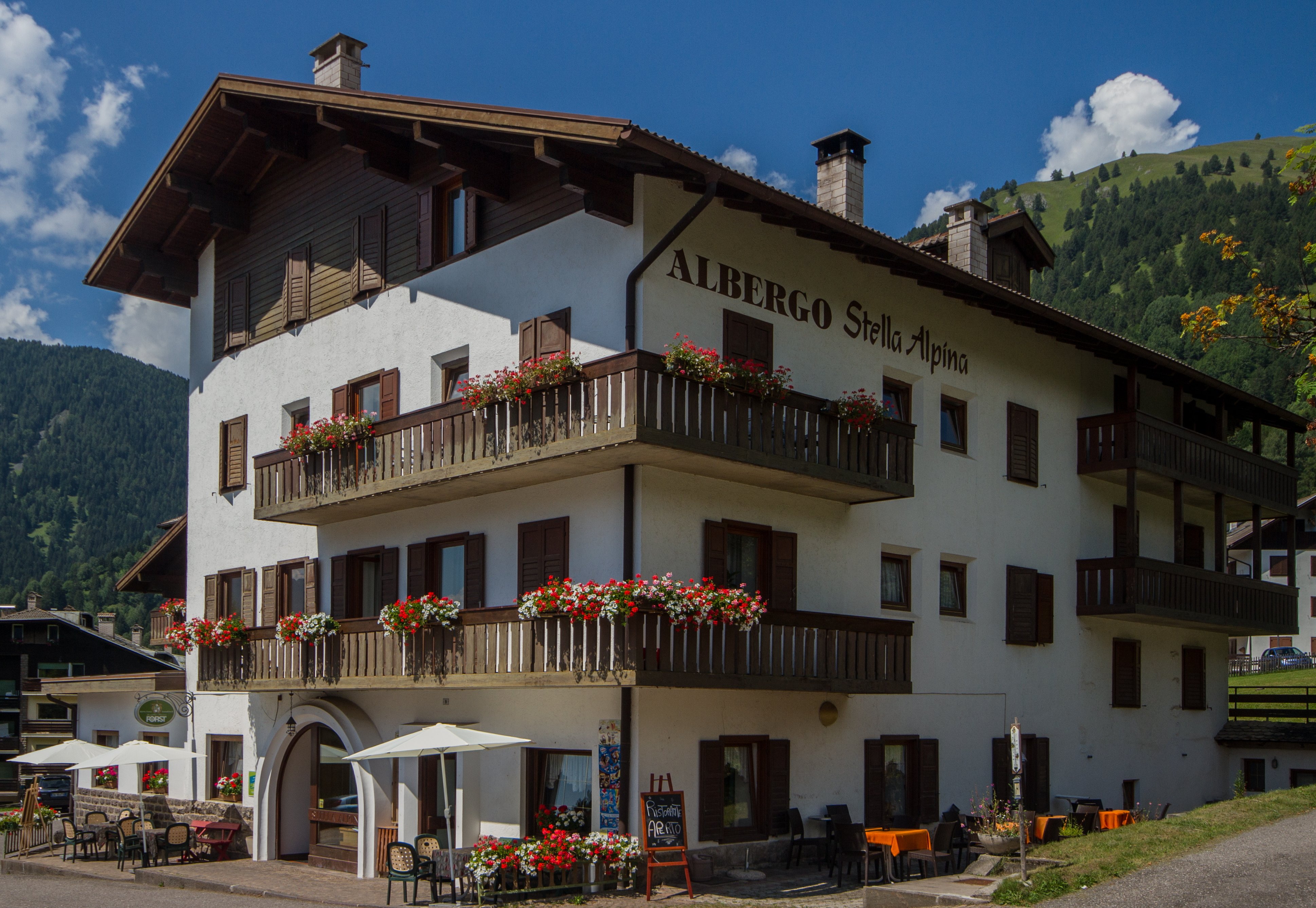 Hotel Stella Alpina-官方