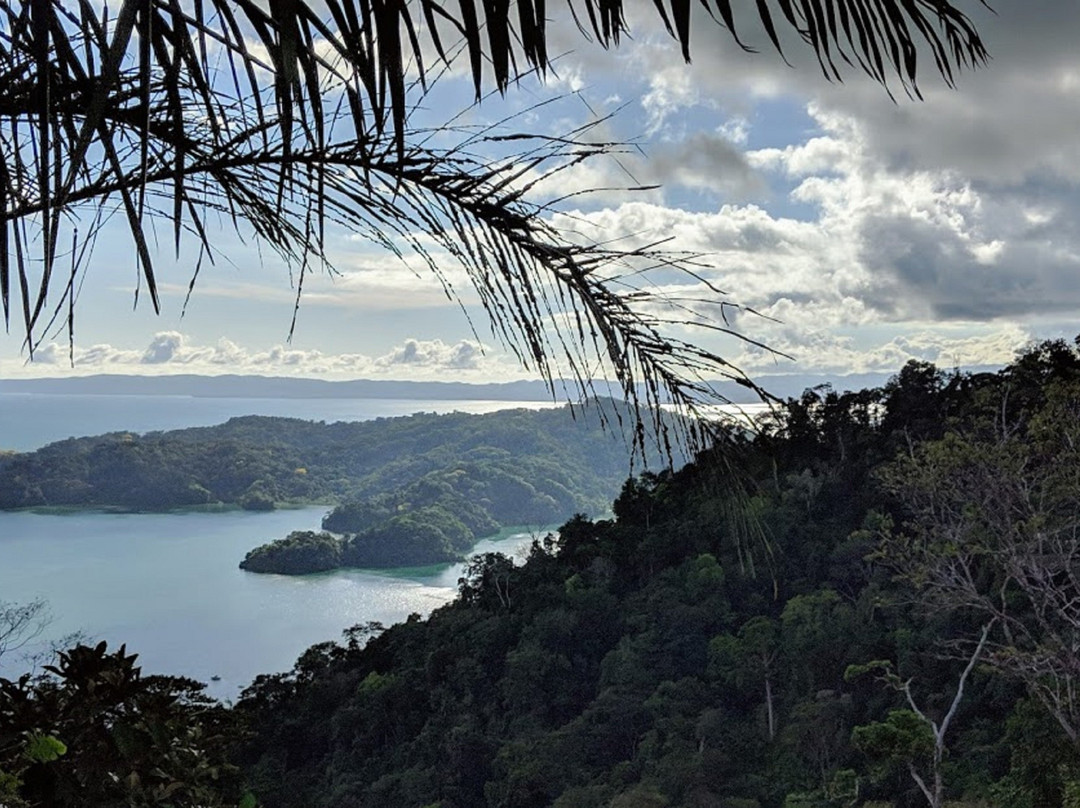 Rio Claro旅游攻略图片